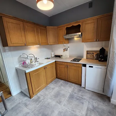 Chaleureux Appartement Refait A Neuf Vic-sur-Cère Esterno foto